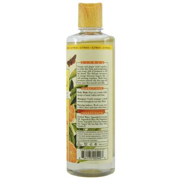 Pure Castile Liquid Soap – Citrus (Orange Ginger) 4