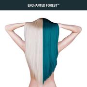 ENCHANTED FOREST™ – AMPLIFIED™ 5