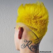 SOLAR YELLOW® – PROFESSIONAL GEL SEMI-PERMANENT HAIR COLOR 3