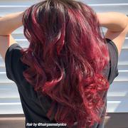 RED VELVET® – PROFESSIONAL GEL SEMI-PERMANENT HAIR COLOR 2