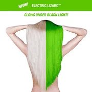 ELECTRIC LIZARD™ – CLASSIC HIGH VOLTAGE® 4