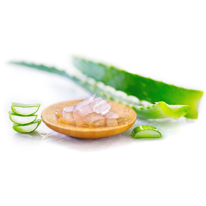 Aloe Vera gel closeup. Sliced aloevera leaf and gel, natural org