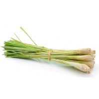 lemongrass_2000x.png