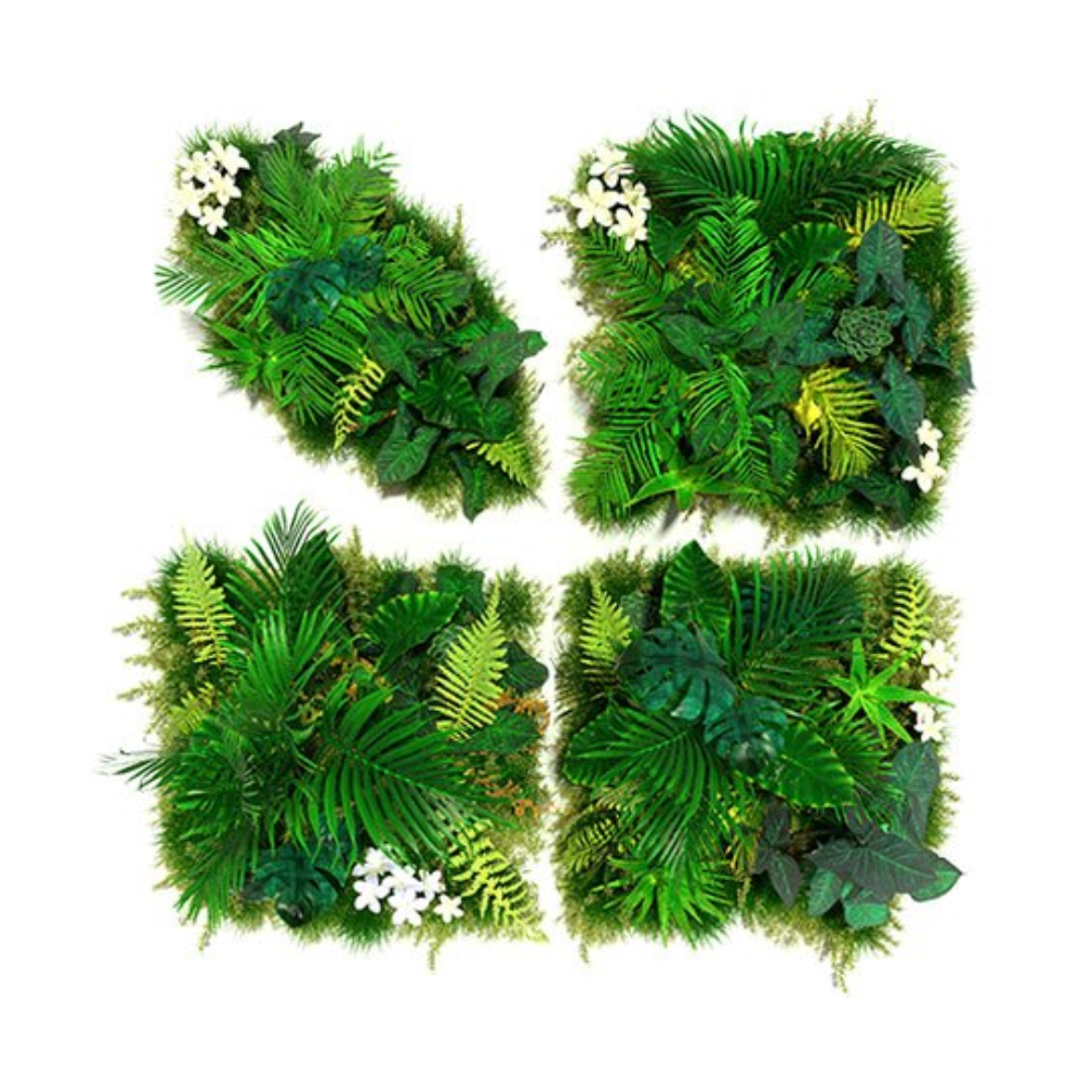A square of green plants with white flowers.
