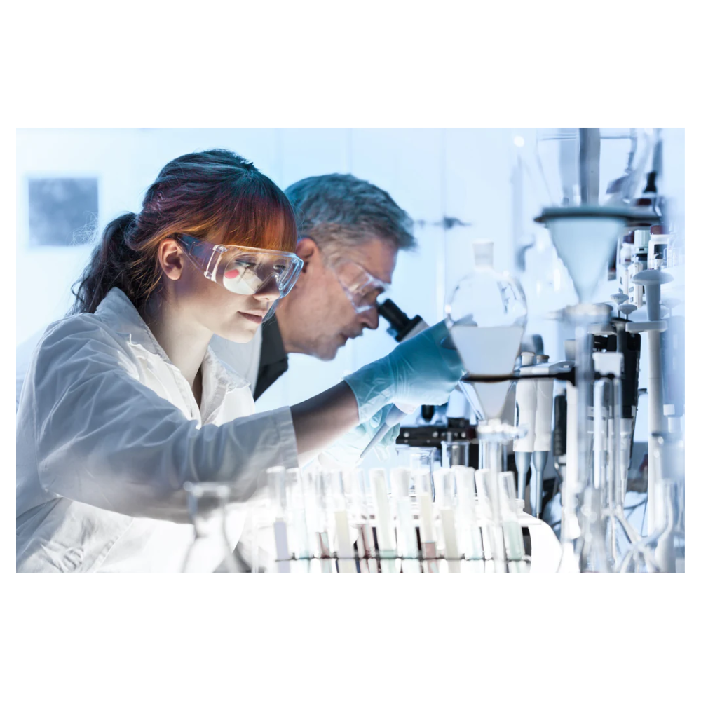 Two people working in a lab with many glass tubes.